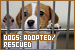  Dogs: Adopted and Rescued: 