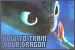  How to Train Your Dragon I: 